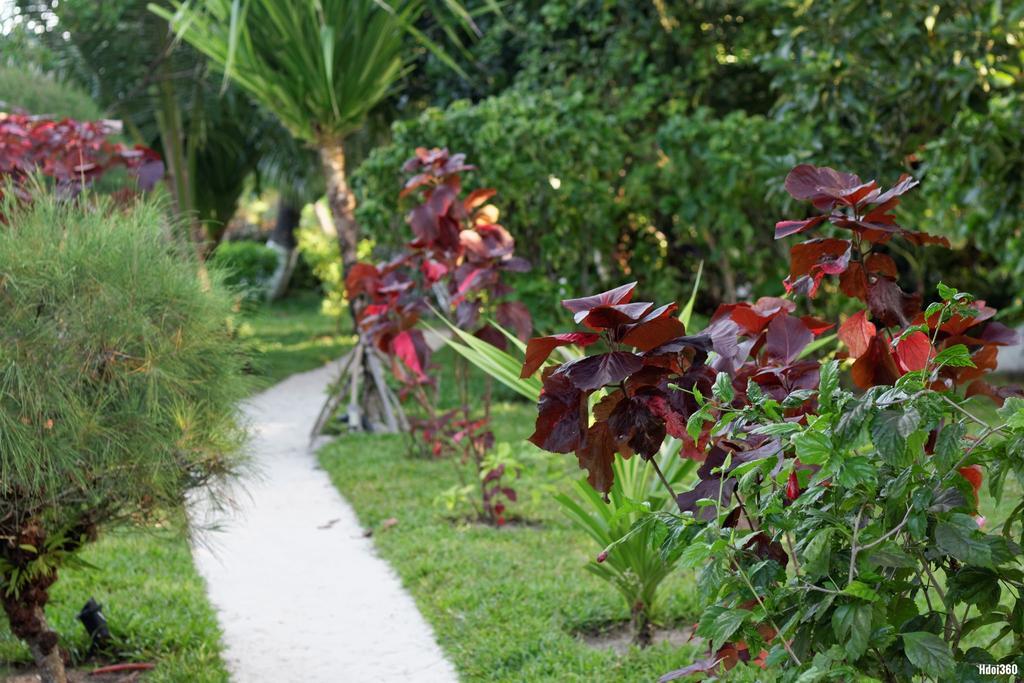 Analatsara Eco Lodge Ile aux Nattes Exteriér fotografie